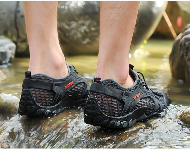 zapato